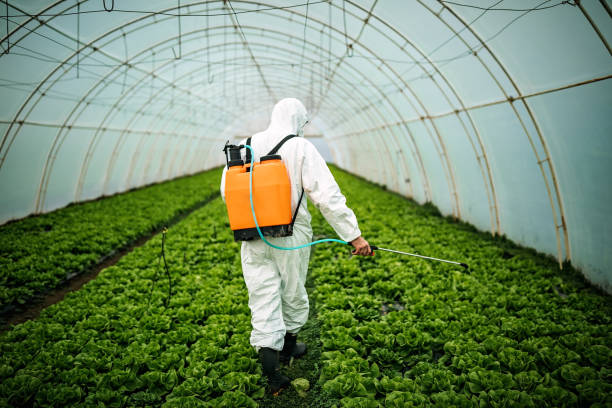 Best Best Pest Control Companies  in Pelham Manor, NY
