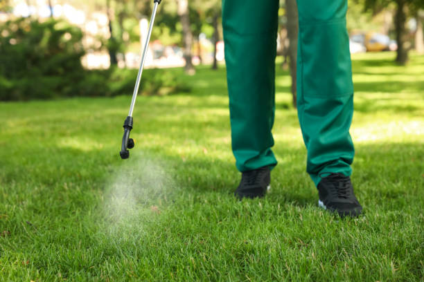 Wasp Removal Services in Pelham Manor, NY