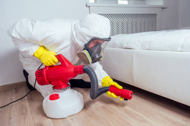 Flea Control Services in Pelham Manor, NY