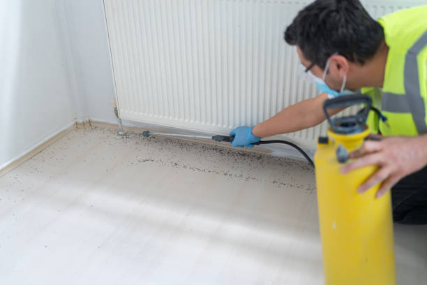 Best Bed Bug Extermination  in Pelham Manor, NY
