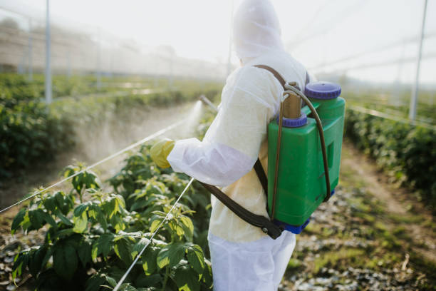 Best Pest Prevention Services  in Pelham Manor, NY